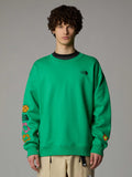THE NORTH FACE Блуза U TNF X YINKA ILORI GRAPHIC CREW