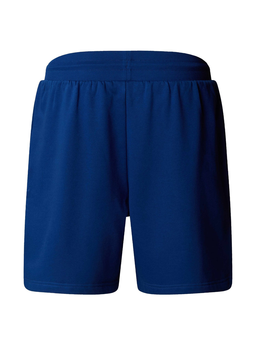 THE NORTH FACE Къси панталони M BOX NSE REGULAR SHORT
