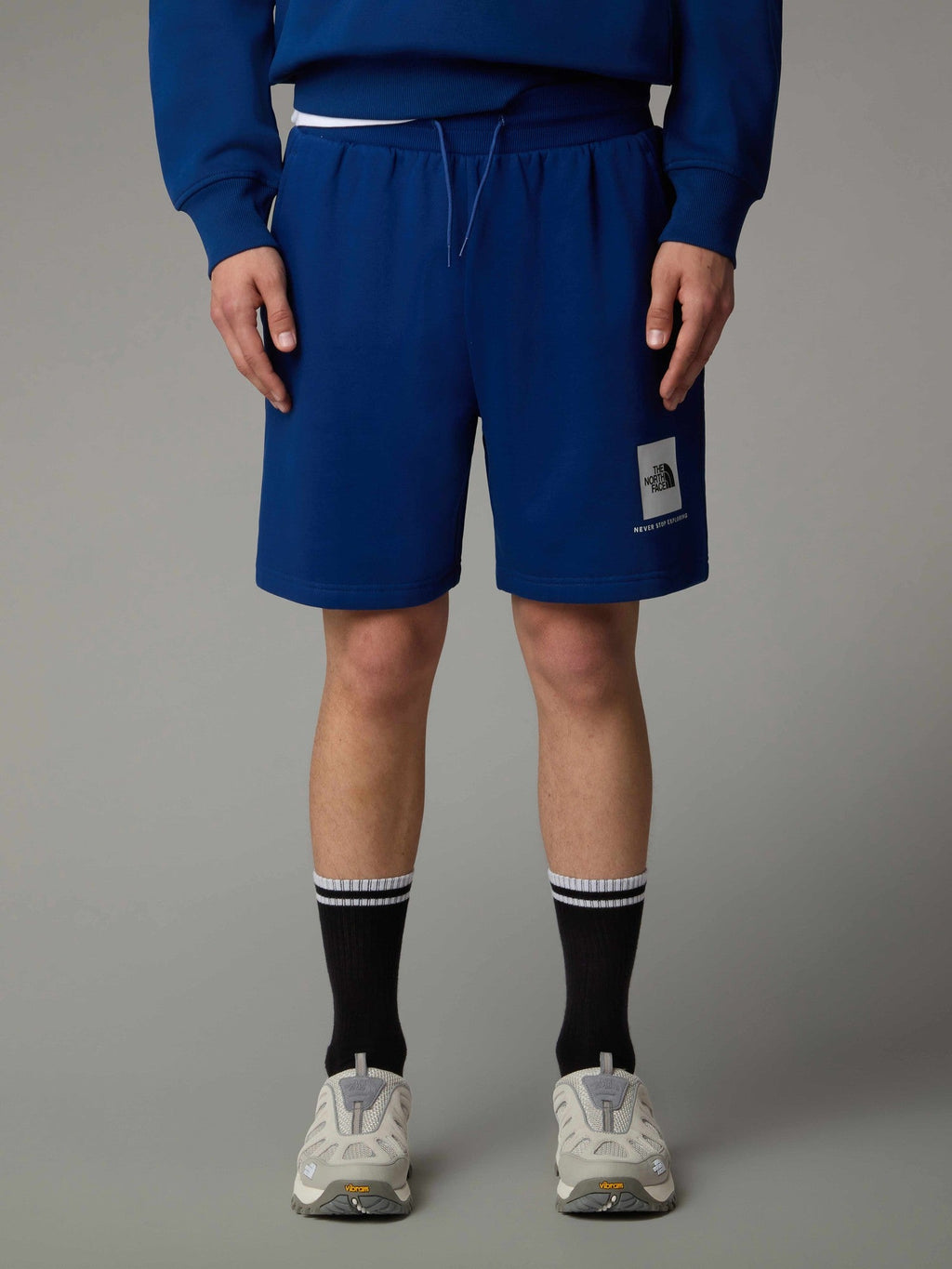THE NORTH FACE Къси панталони M BOX NSE REGULAR SHORT