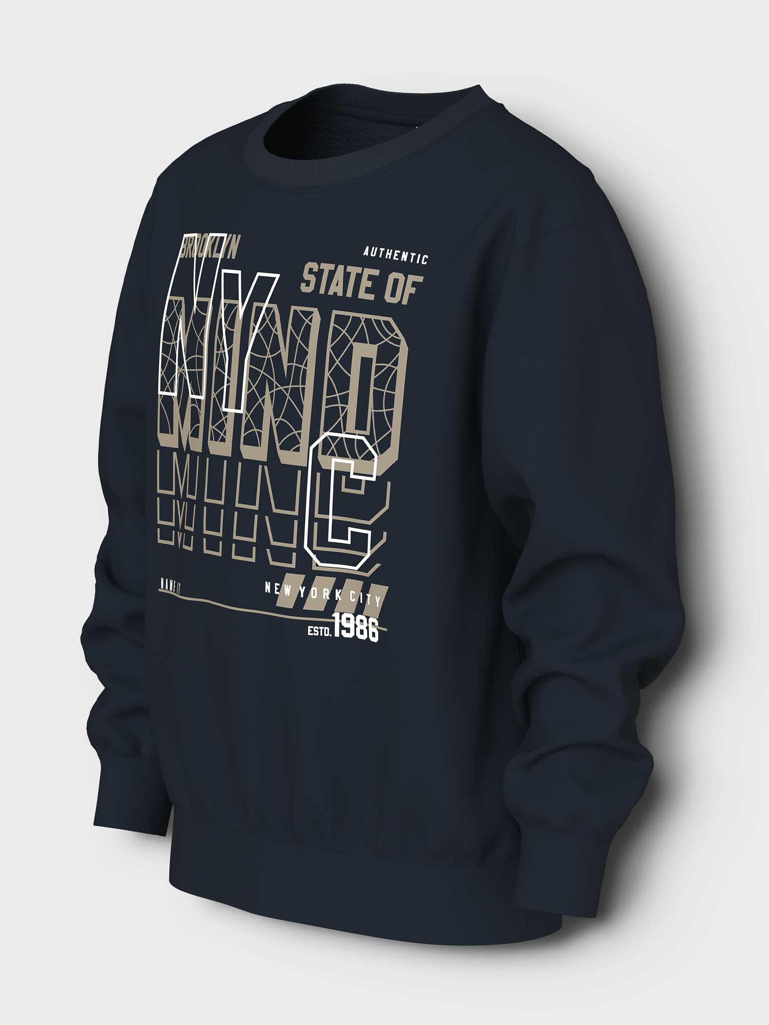 NAME IT Блуза NKMVILDAR LS NREG SWEAT BRU
