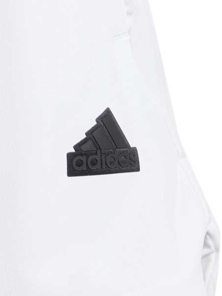 ADIDAS SPORTSWEAR Къси панталони Z.N.E. Woven Shorts