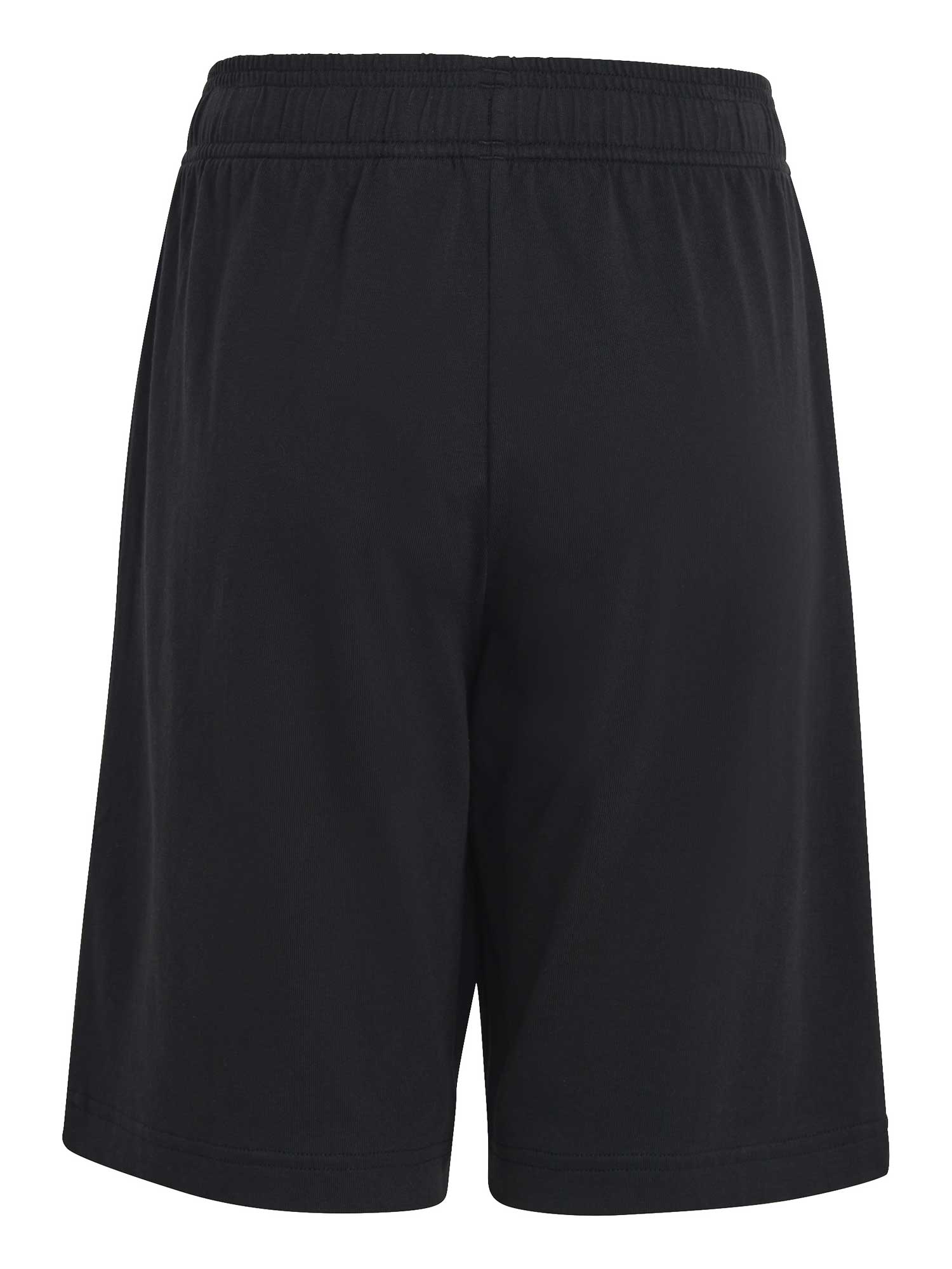 ADIDAS SPORTSWEAR Къси панталони Essentials Big Logo Cotton