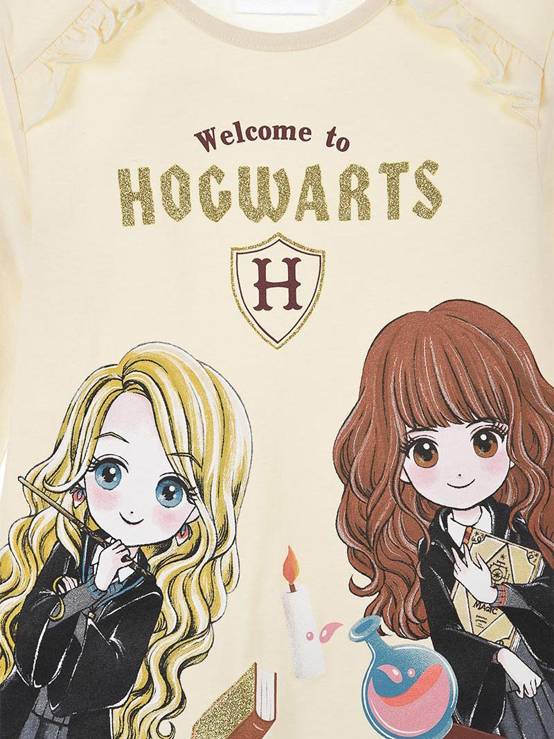 KIDS MOVIE HEROES Блуза HARRY POTTER