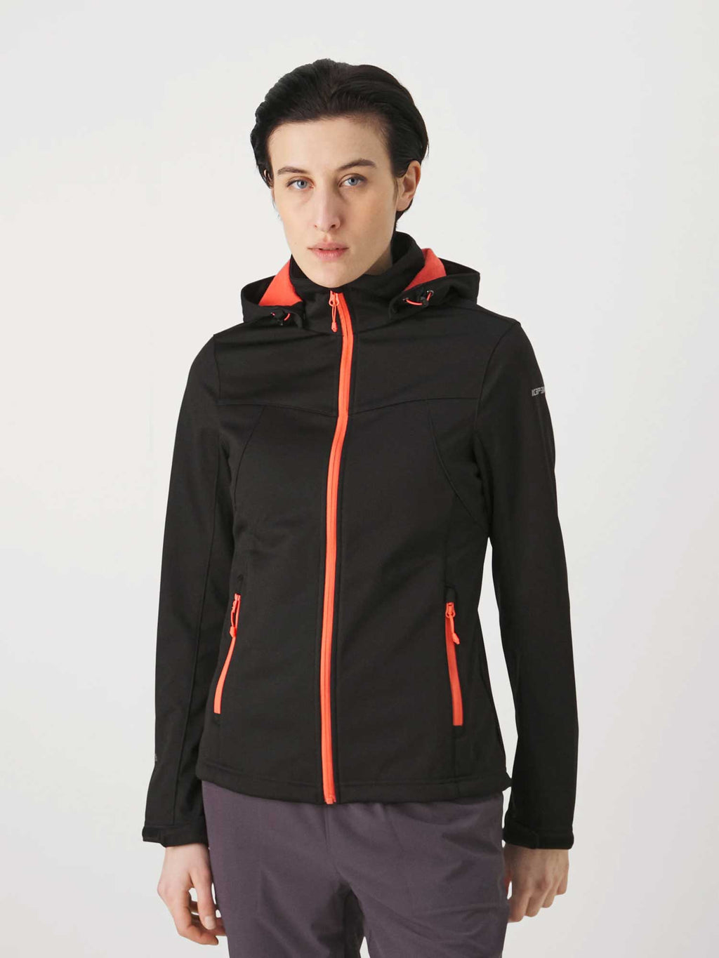 ICEPEAK Яке BOISE