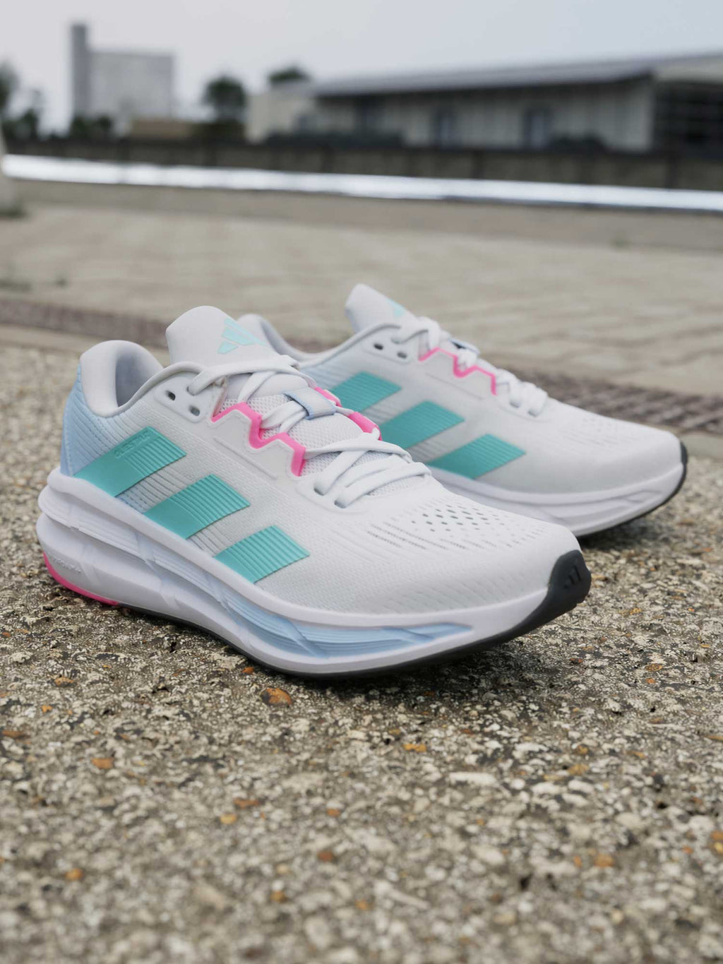 ADIDAS PERFORMANCE Обувки Questar 3