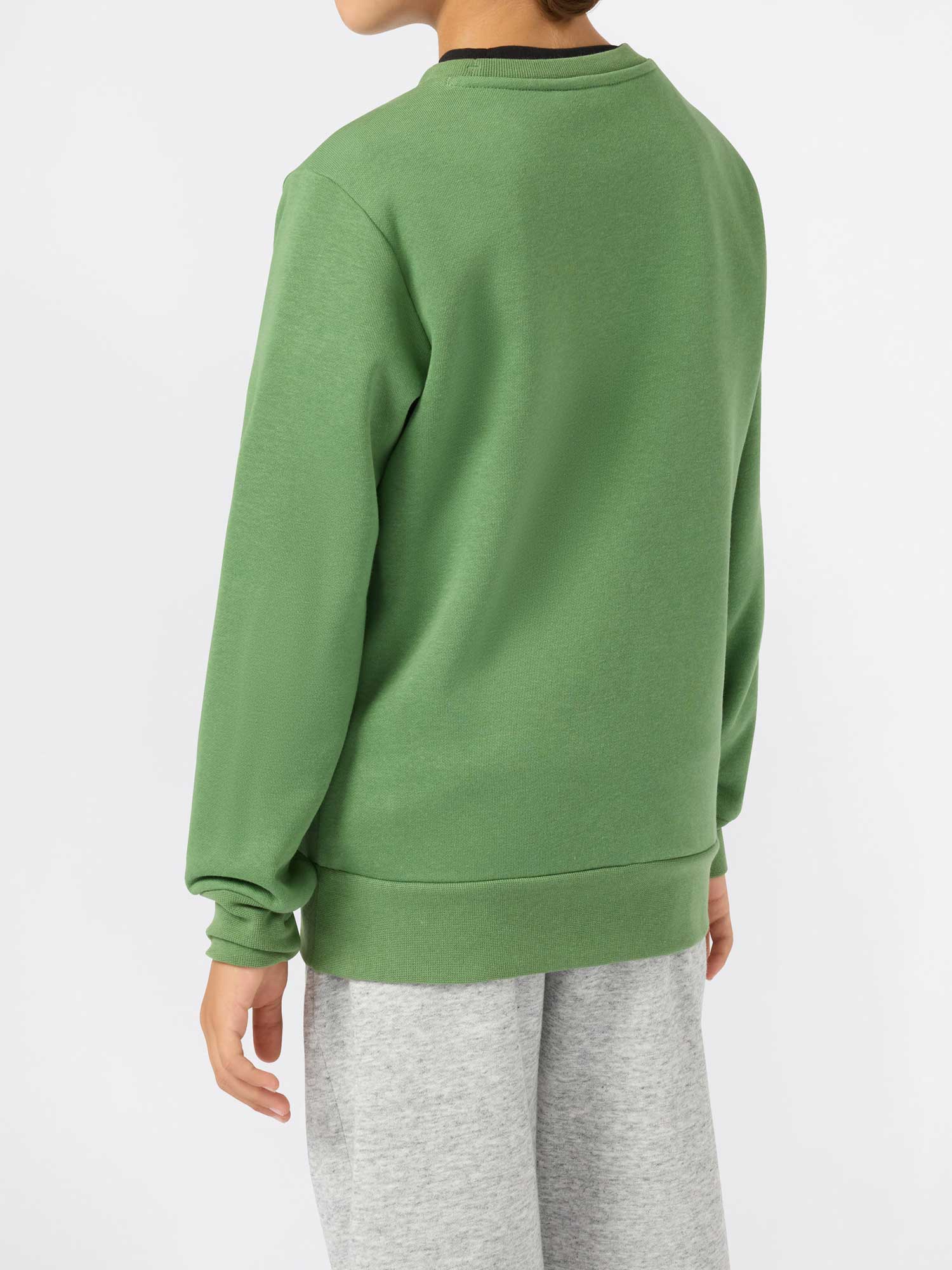 CHAMPION Блуза Crewneck Sweatshirt