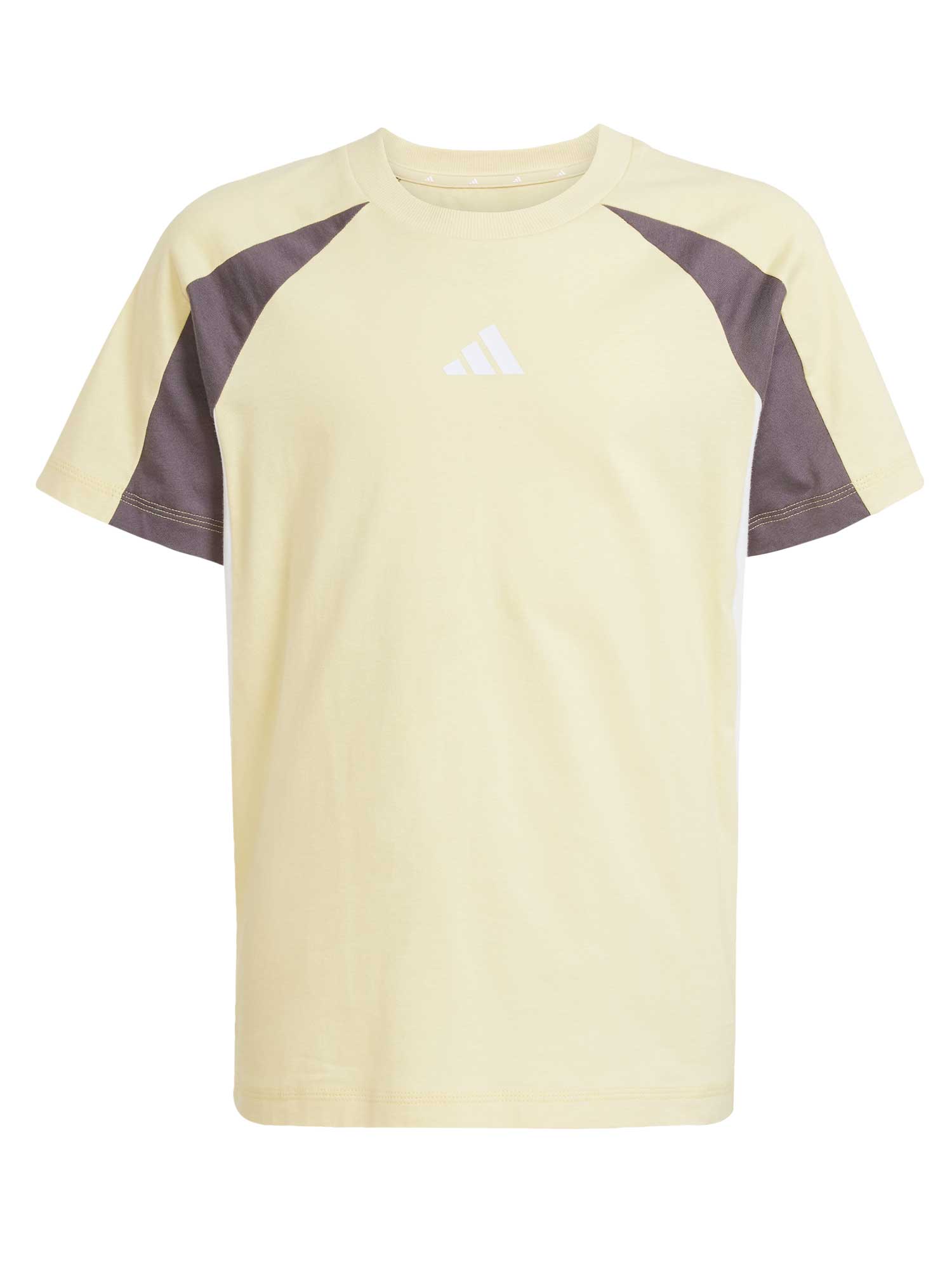 ADIDAS SPORTSWEAR Тениска Seasonal Essentials Colorblock T-Shirt