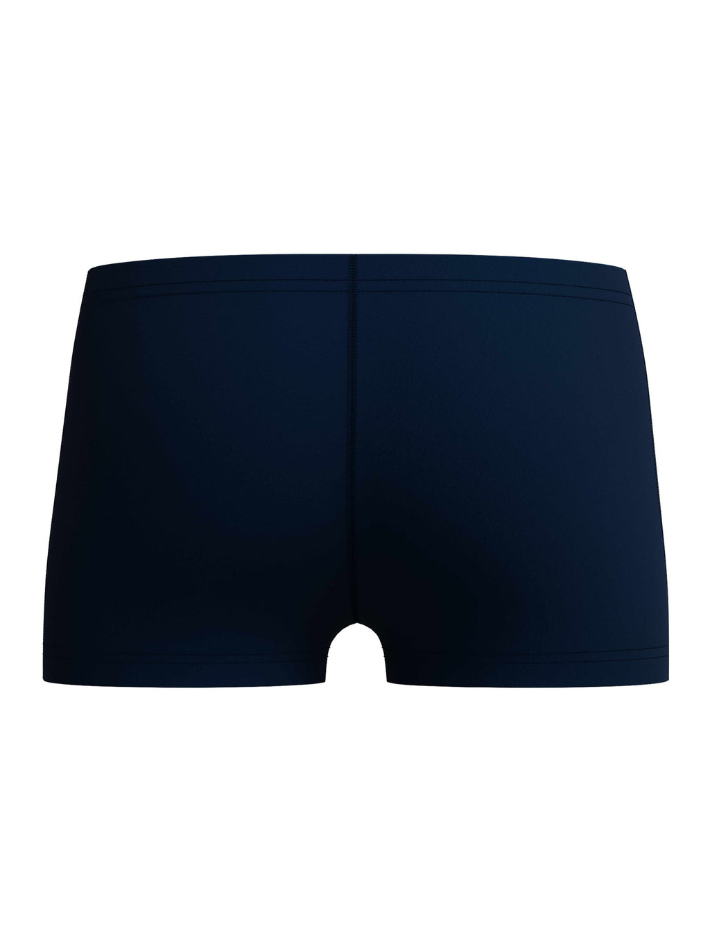 SPEEDO Бански TECH PLMT AQUASHORT JM