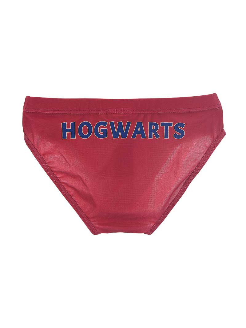 KIDS MOVIE HEROES Бански HARRY POTTER