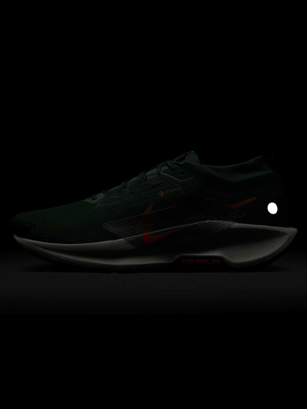 NIKE Обувки PEGASUS TRAIL 5 GTX
