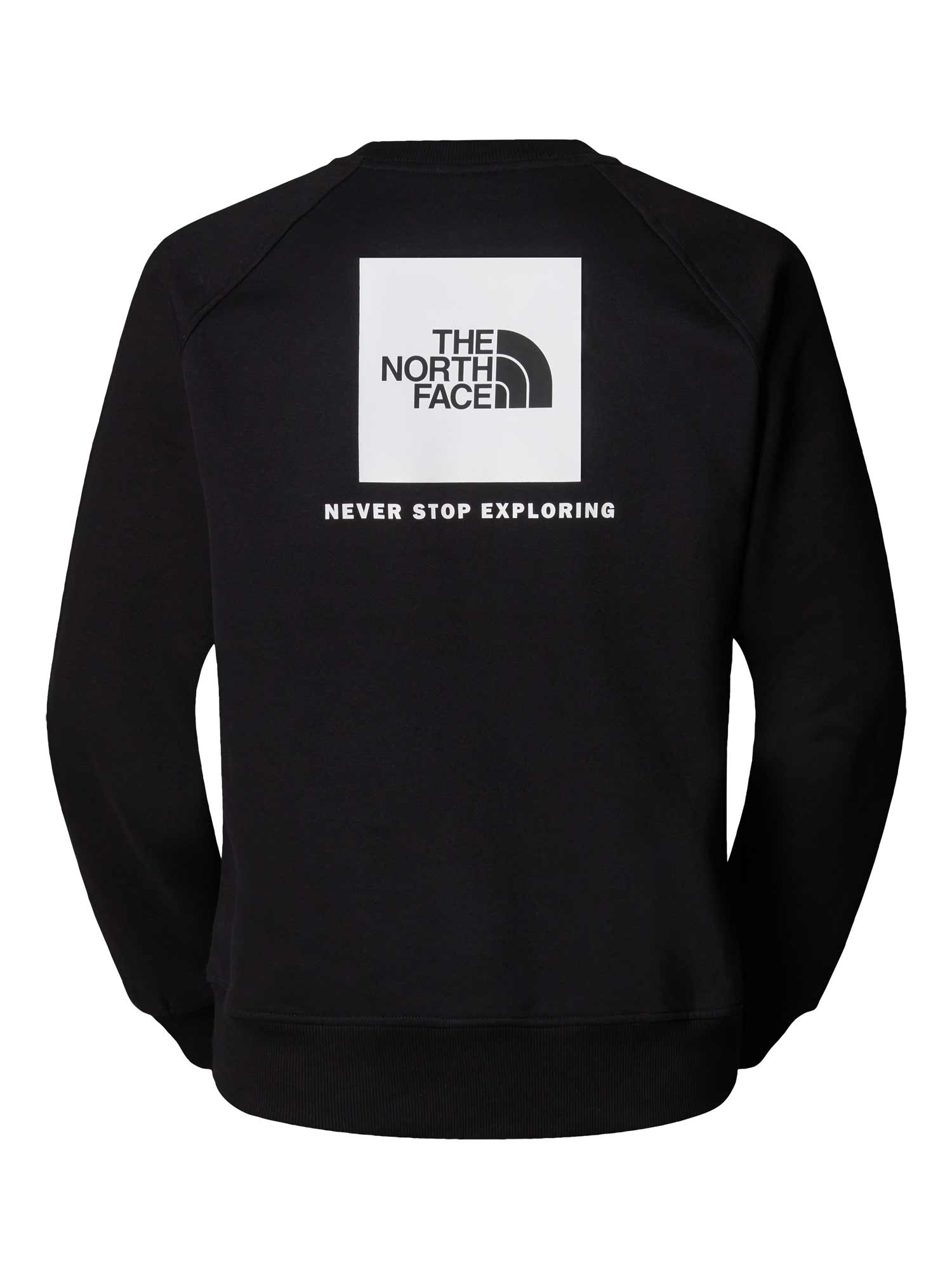 THE NORTH FACE Блуза M RAGLAN BOX NSE REGULAR CREW