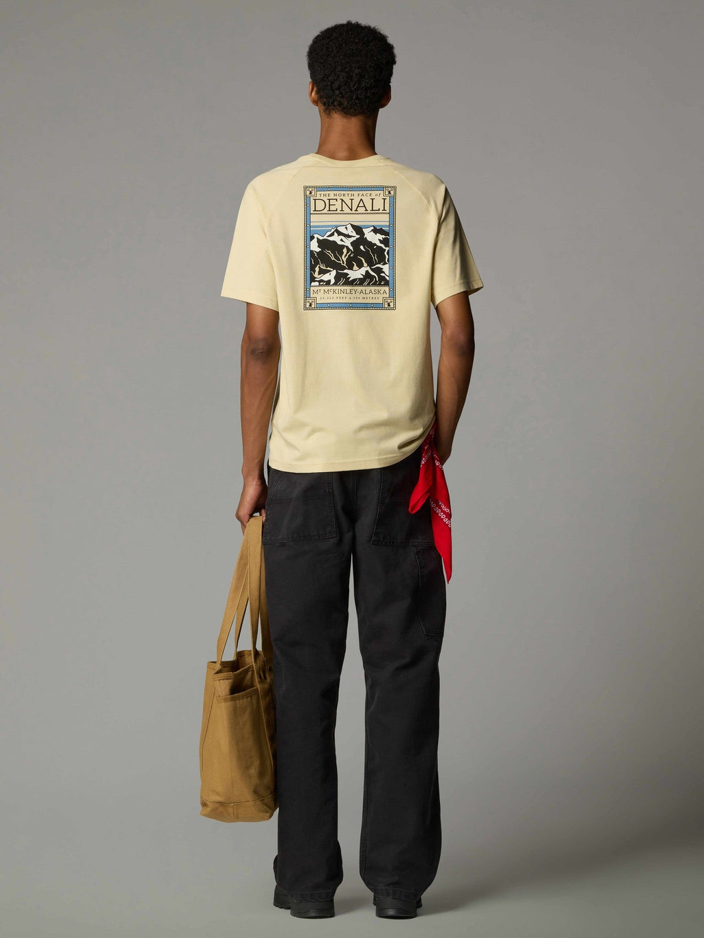THE NORTH FACE Тениска M SS NORTH FACES TEE