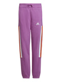 ADIDAS SPORTSWEAR Спортно долнище Essentials Brand Love Print Warm