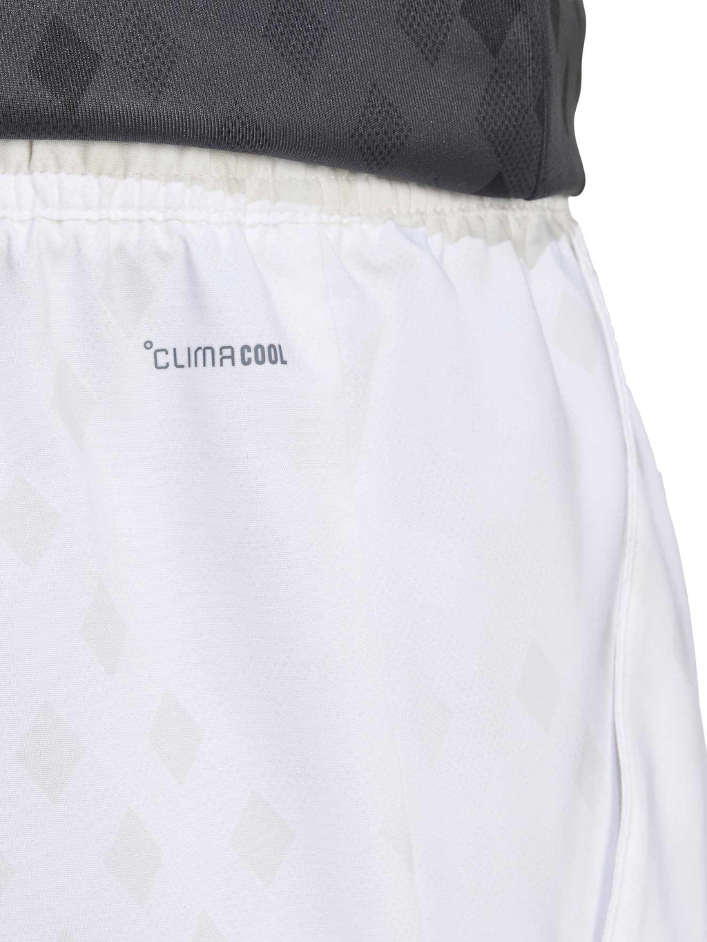 ADIDAS PERFORMANCE Къси панталони Club Tennis Climacool Graphic