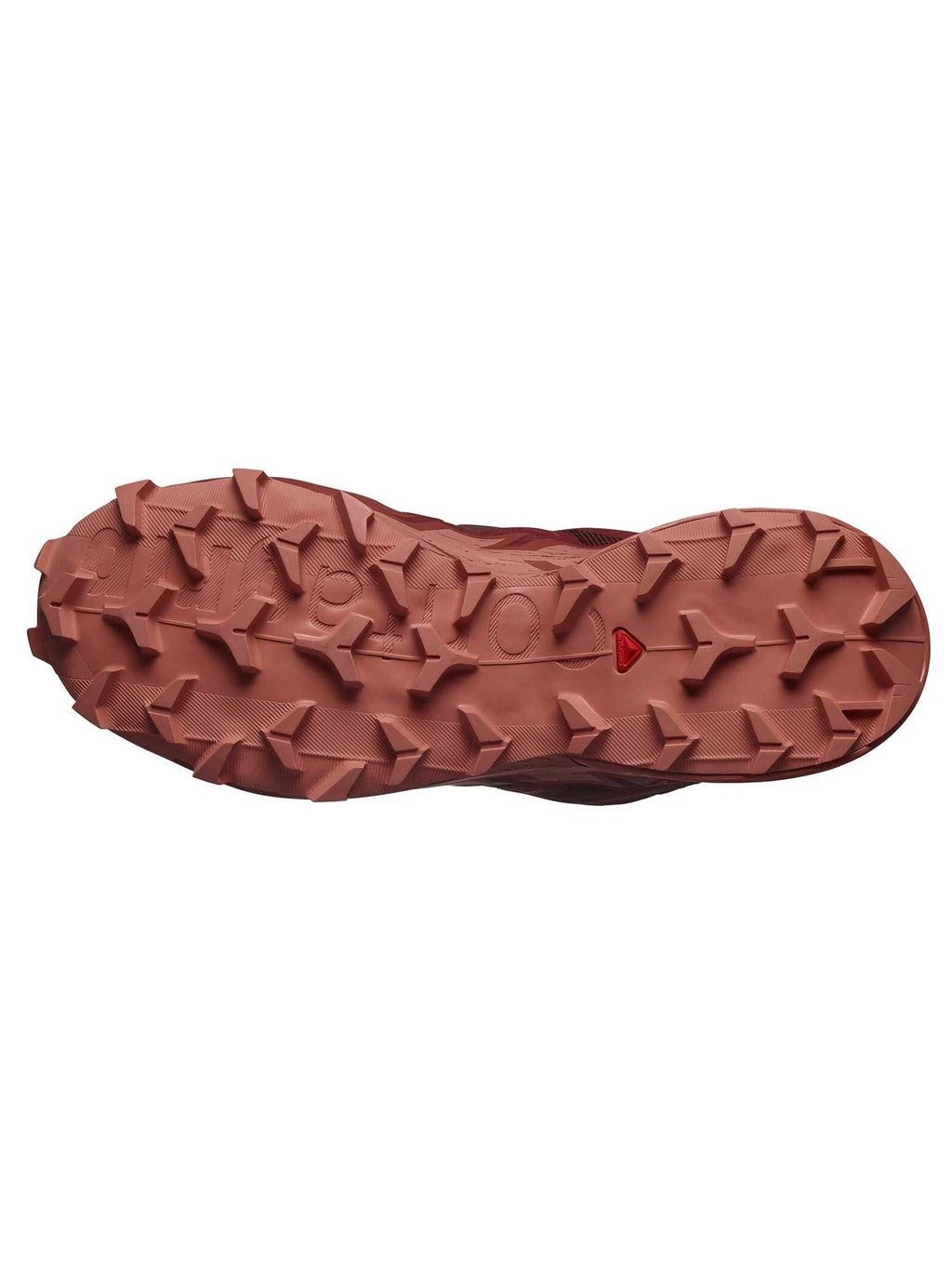 SALOMON Обувки SPEEDCROSS 6 GTX W