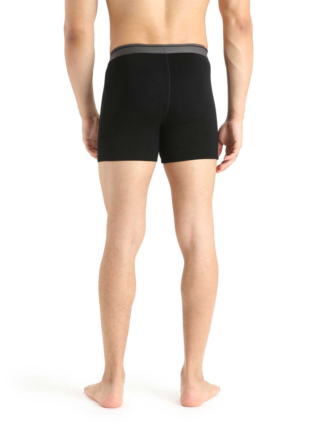 ICEBREAKER Бельо M Anatomica Boxers wFly