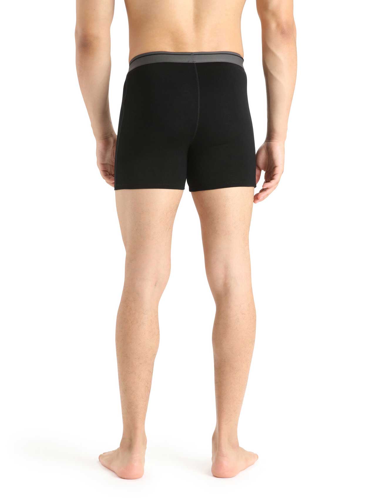 ICEBREAKER Бельо M Anatomica Boxers wFly