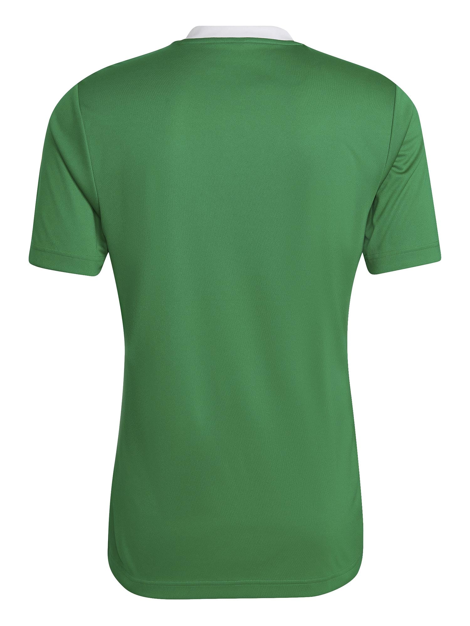 ADIDAS PERFORMANCE Тениска Entrada 22