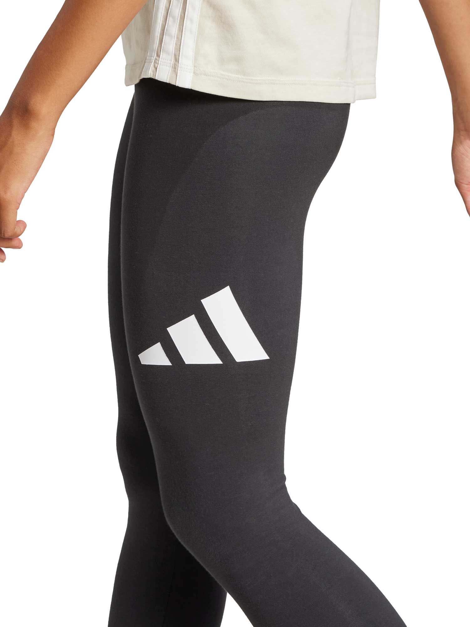 ADIDAS SPORTSWEAR Клин Essentials Big Logo Cotton Leggings