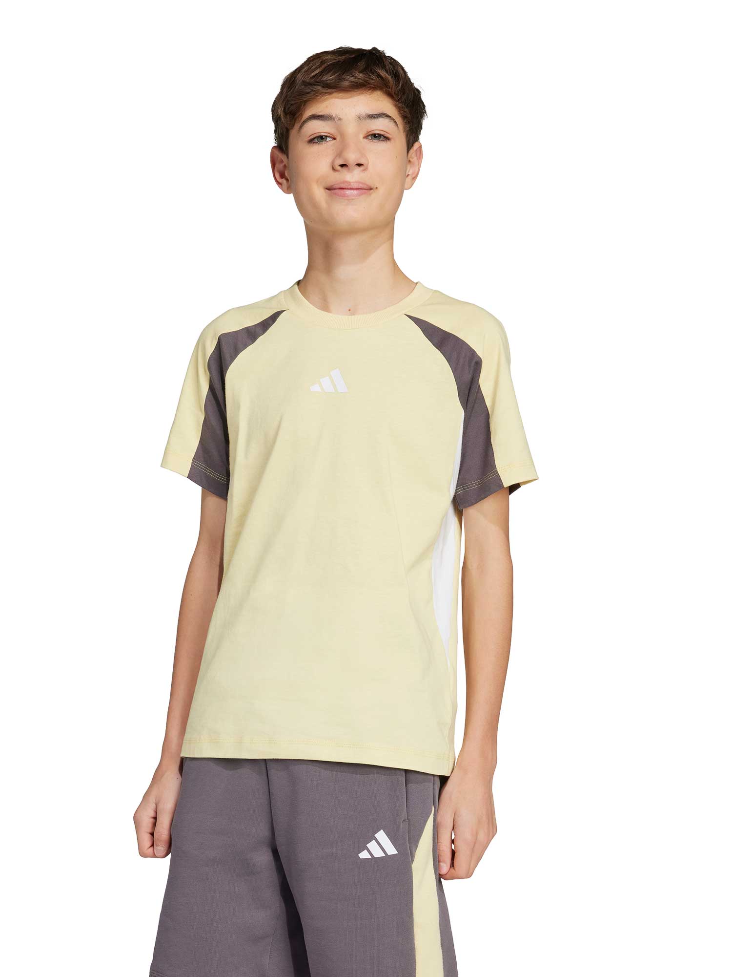 ADIDAS SPORTSWEAR Тениска Seasonal Essentials Colorblock T-Shirt