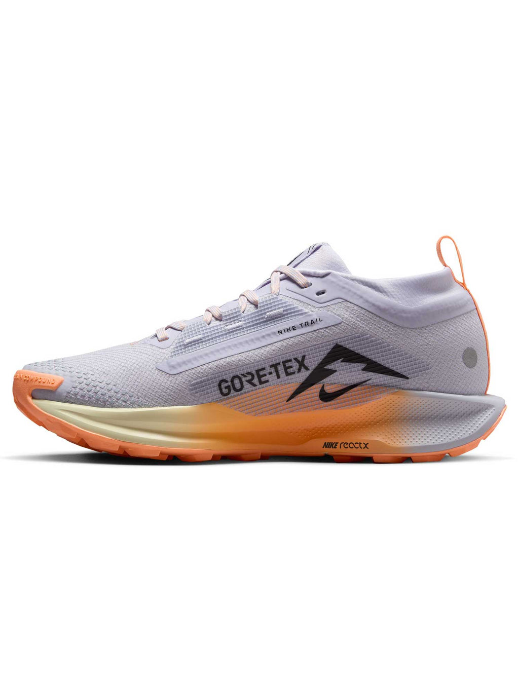NIKE Обувки W PEGASUS TRAIL 5 GTX