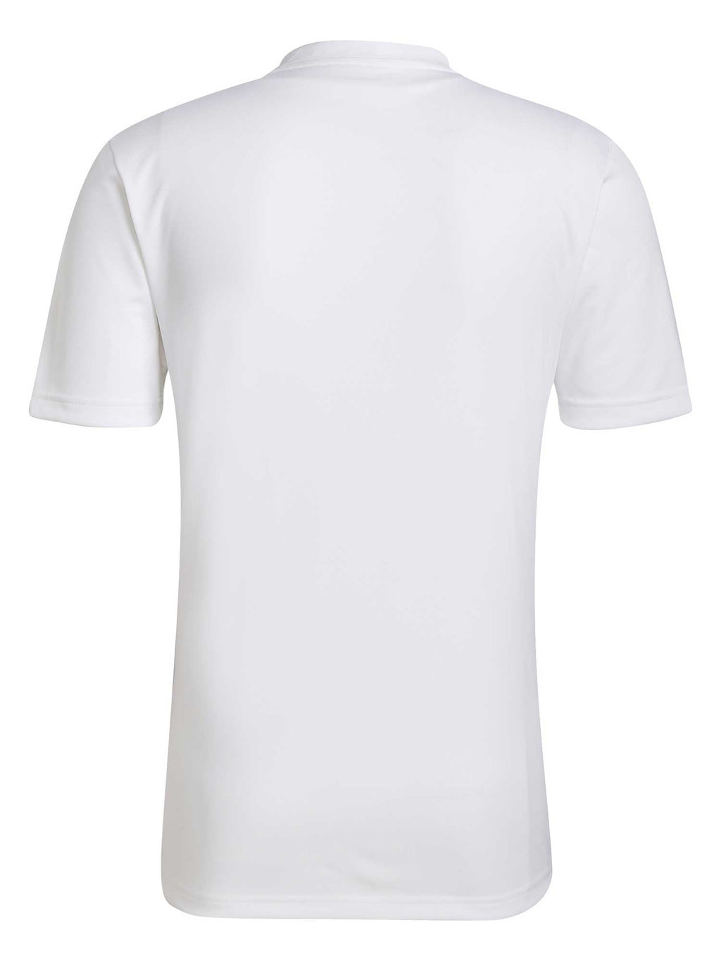 ADIDAS PERFORMANCE Тениска Entrada 22 Graphic Jersey