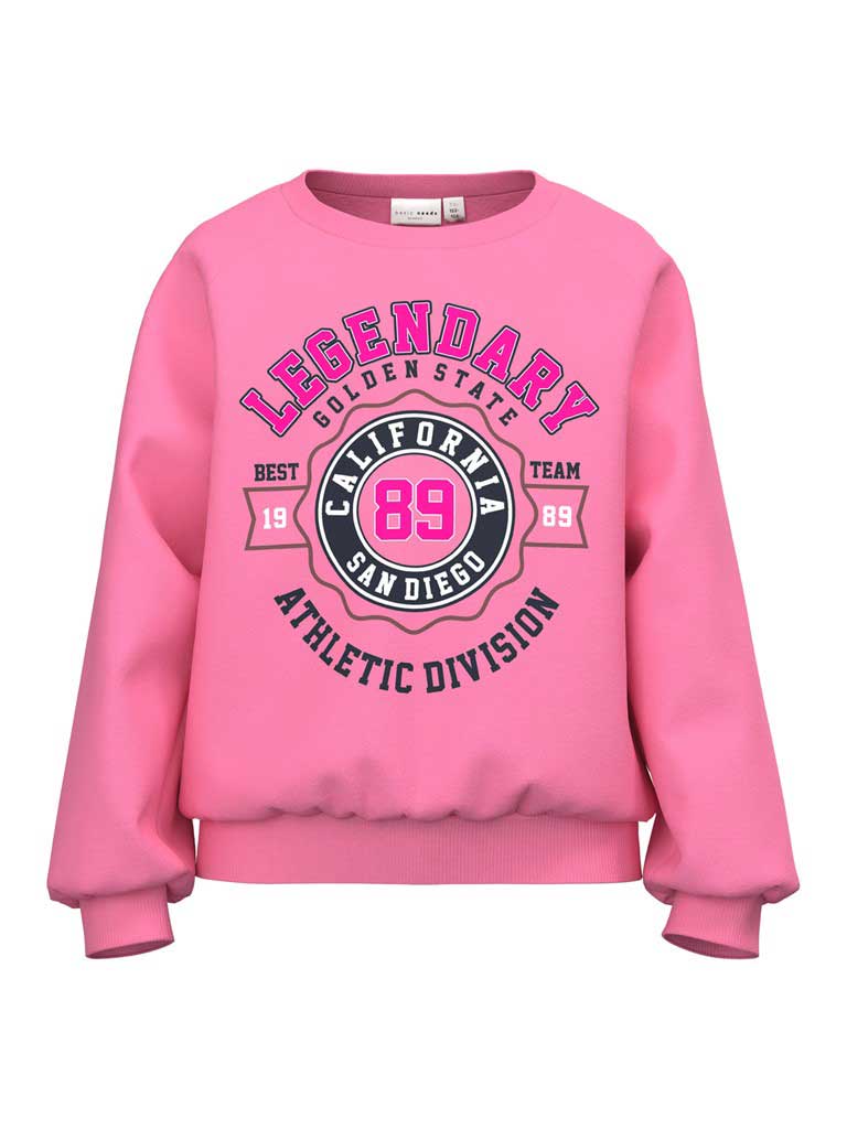 NAME IT Блуза NKFVENUS LS SWEAT BRU O1