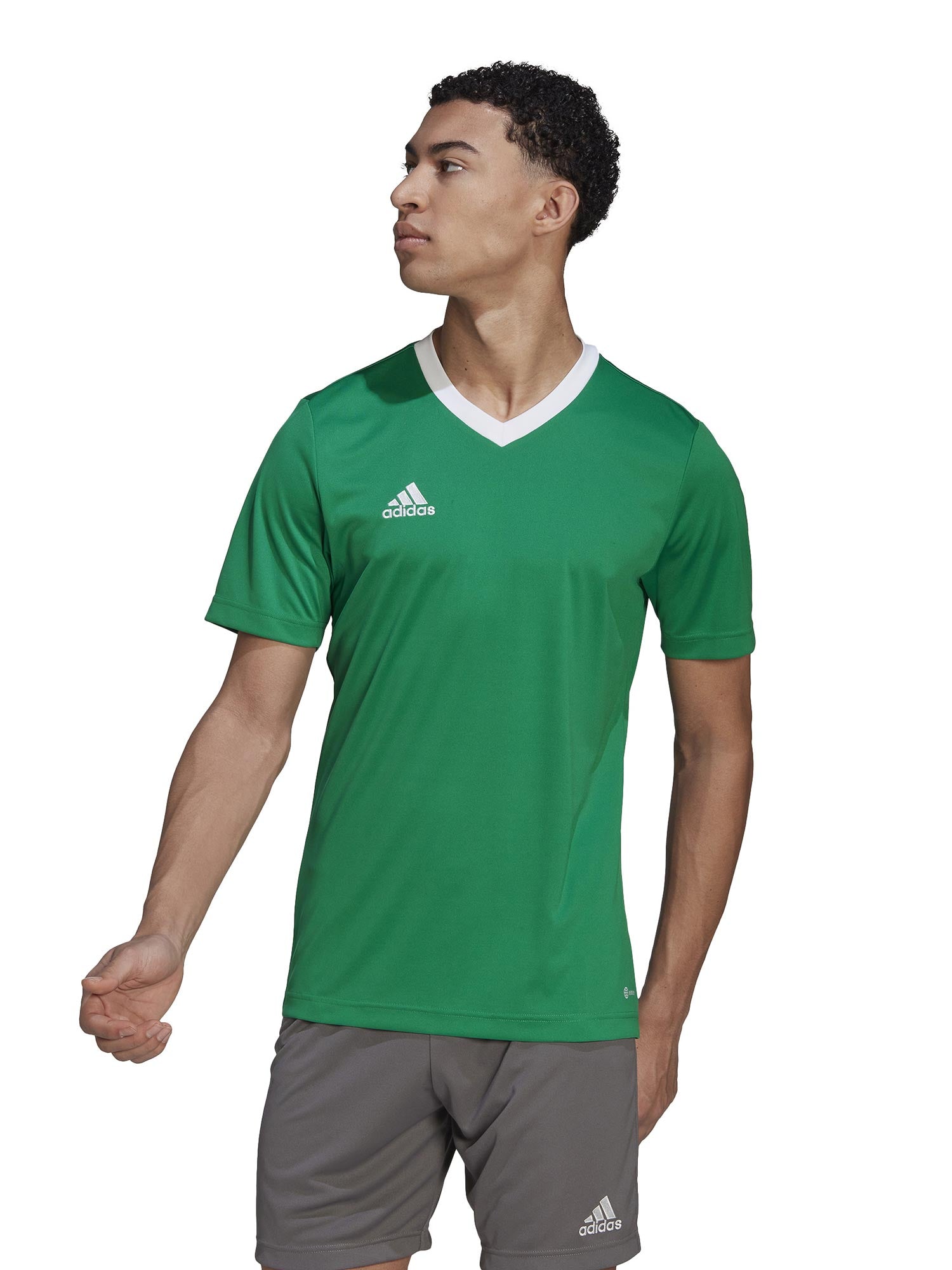 ADIDAS PERFORMANCE Тениска Entrada 22