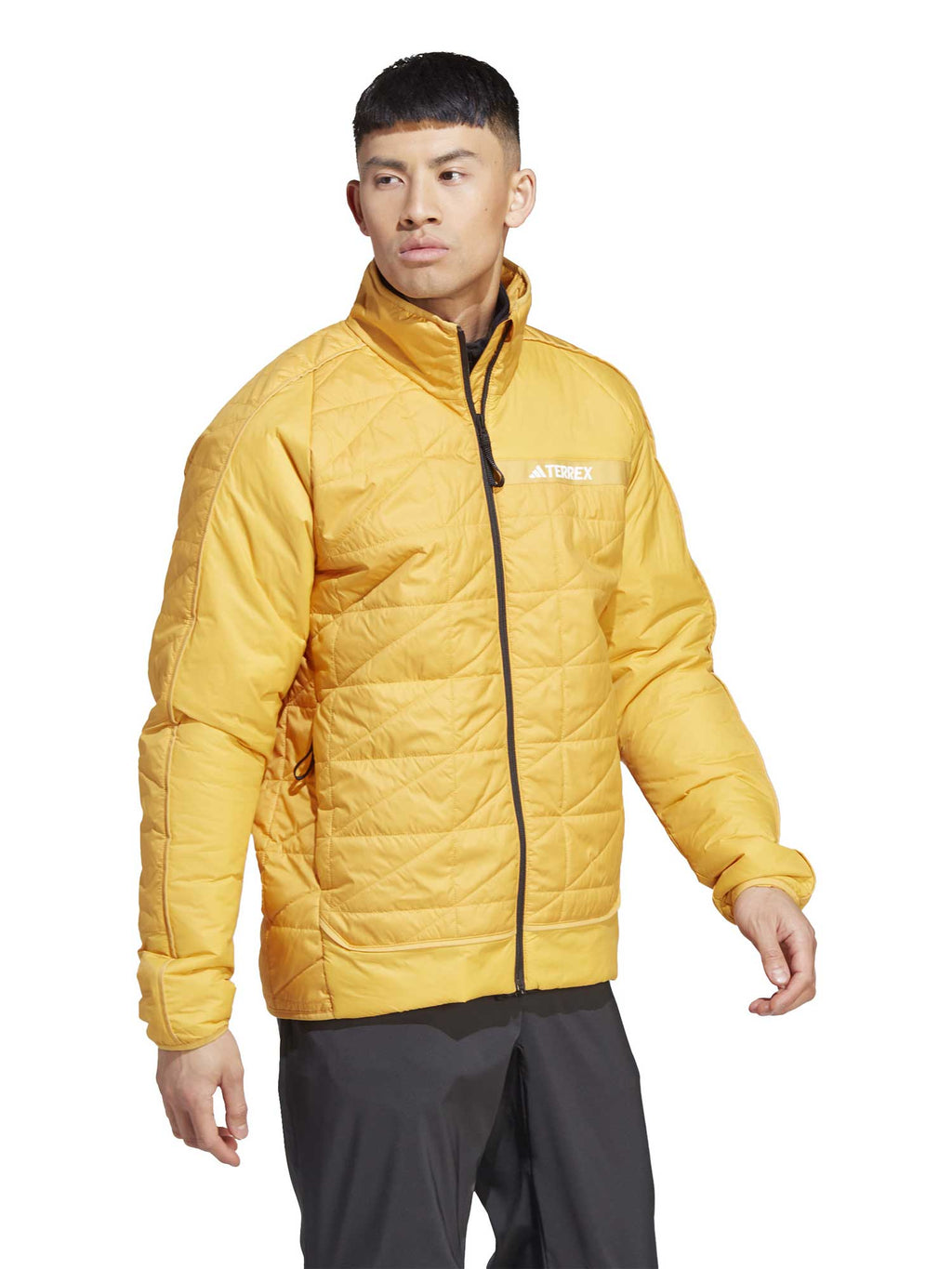 ADIDAS PERFORMANCE Яке Terrex Multi Insulation
