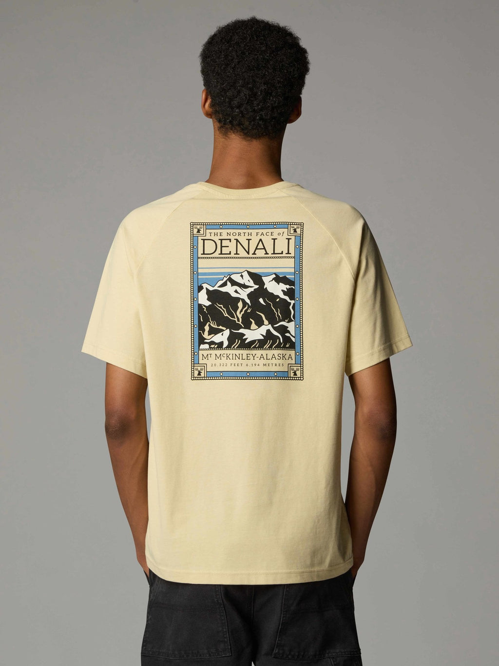 THE NORTH FACE Тениска M SS NORTH FACES TEE