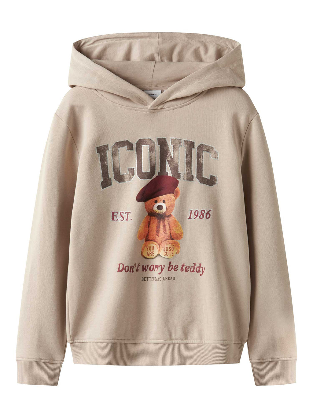 NAME IT Суитшърт NKFRYCCA LS NREG SWEAT WH BRU BOX