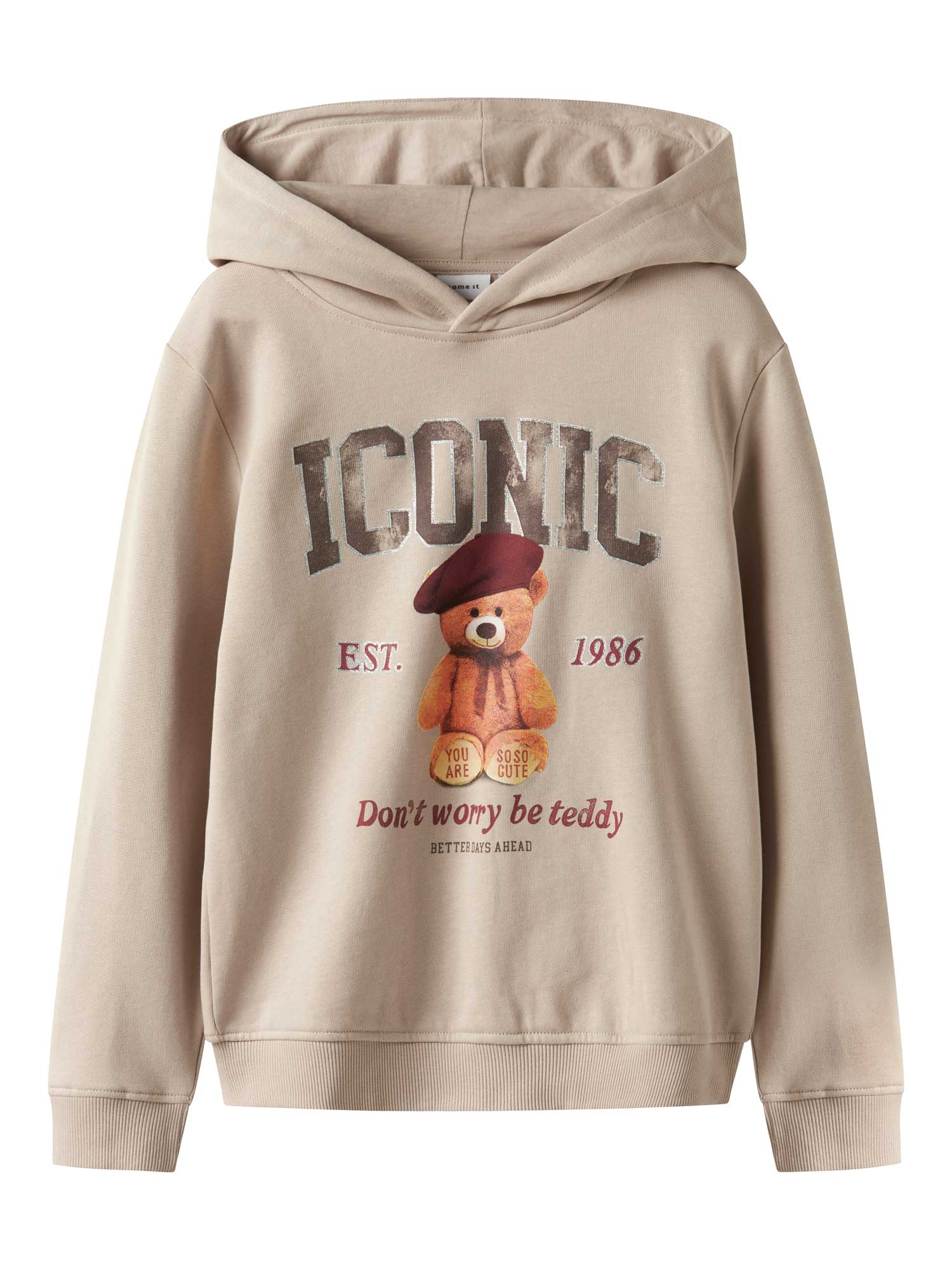 NAME IT Суитшърт NKFRYCCA LS NREG SWEAT WH BRU BOX
