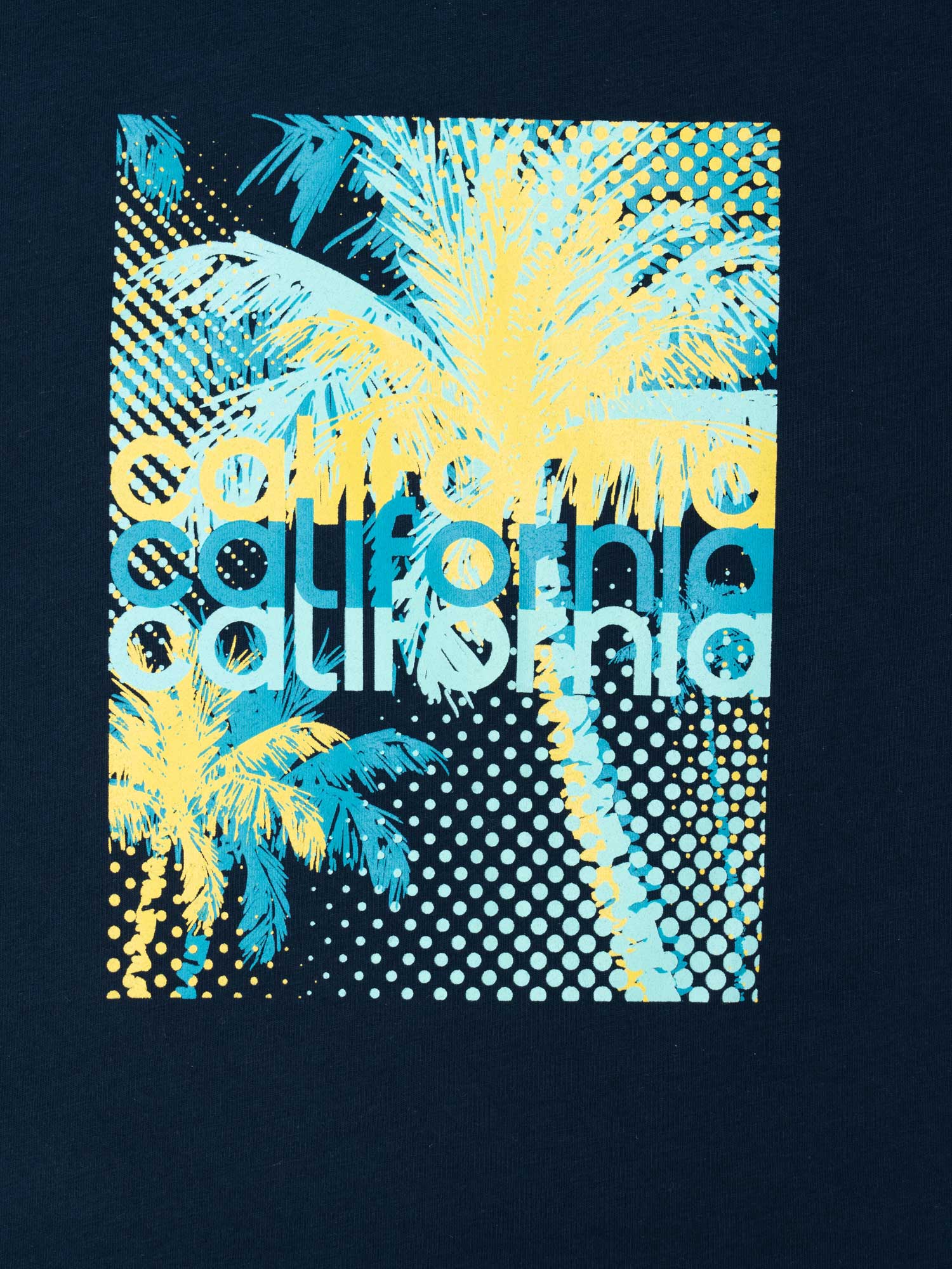 BRILLE Тениска California MAX