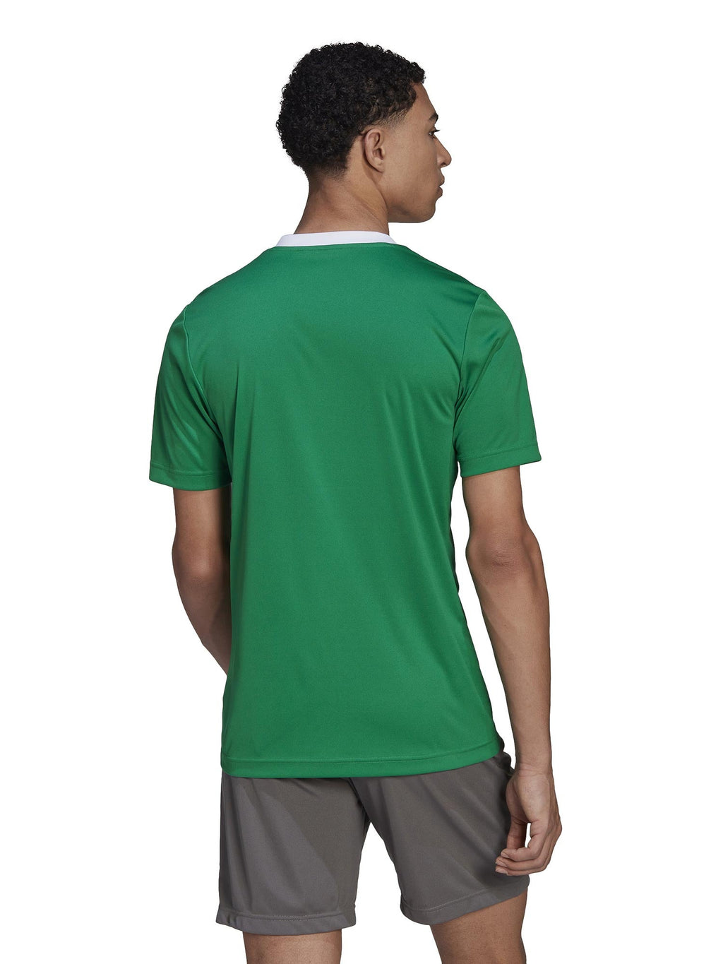 ADIDAS PERFORMANCE Тениска Entrada 22