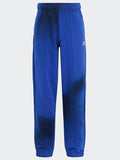 ADIDAS SPORTSWEAR Спортно долнище ARKD3 Cargo