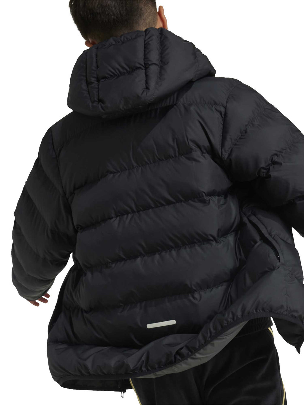 ADIDAS SPORTSWEAR Яке Synthetic Down Jacket