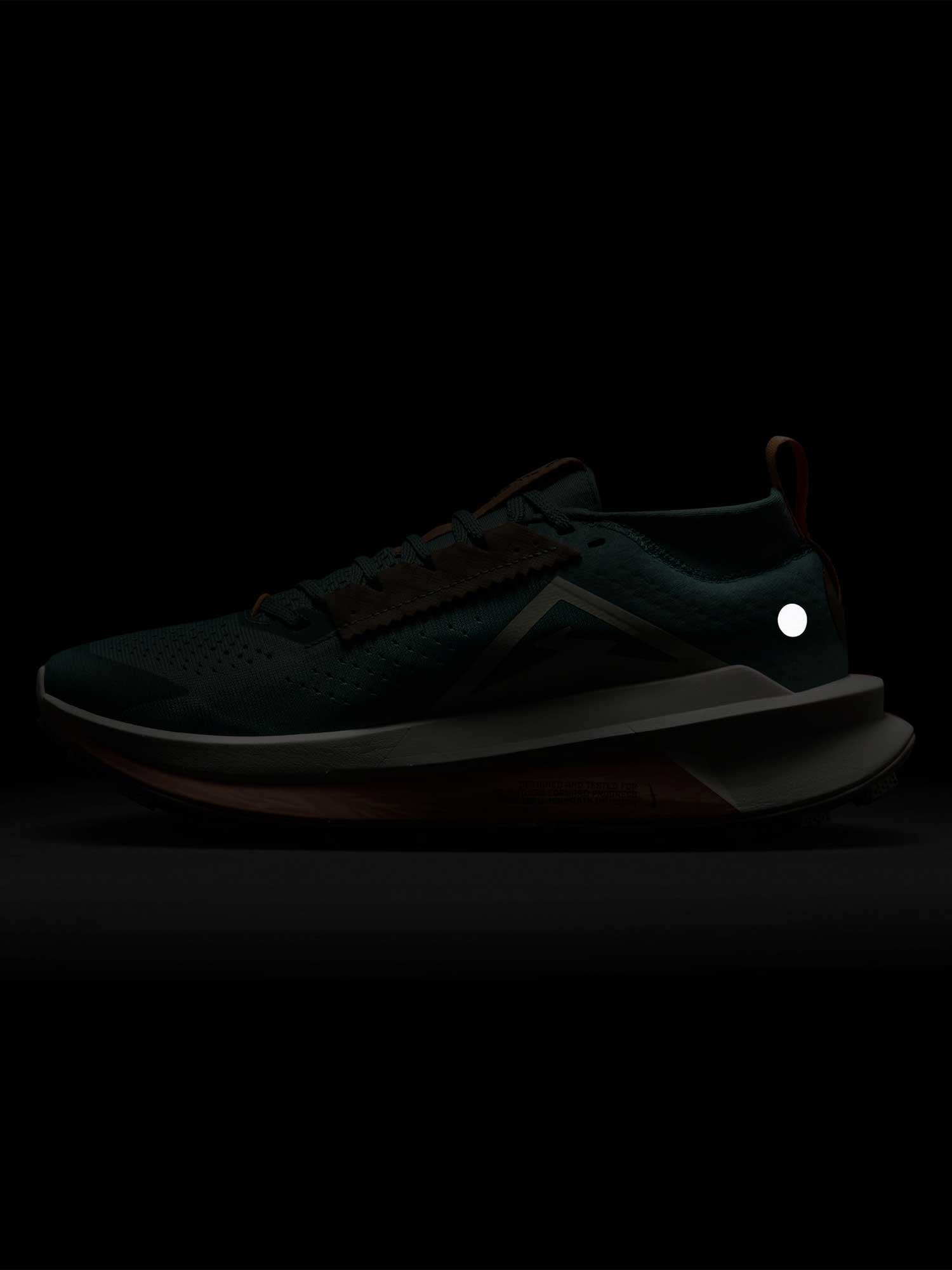 NIKE Обувки W ZOOMX ZEGAMA TRAIL 2