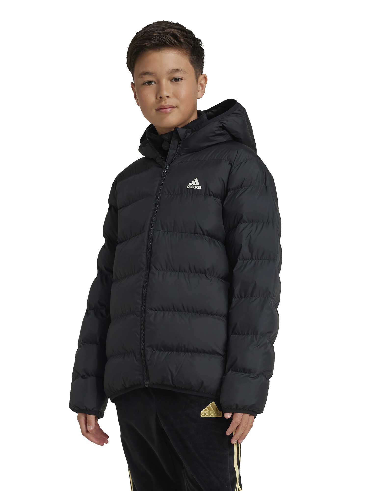 ADIDAS SPORTSWEAR Яке Synthetic Down Jacket