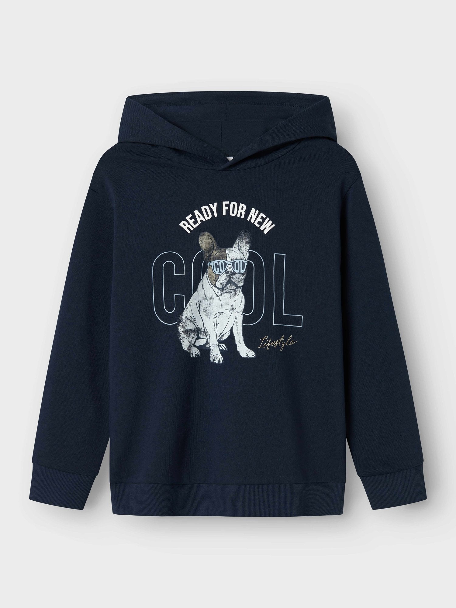 NAME IT Суитшърт NKMBEDOG LS NREG SWEAT WH UNB