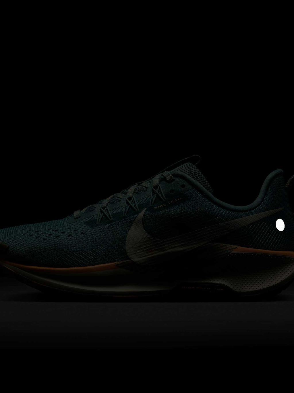 NIKE Обувки W REACTX PEGASUS TRAIL 5