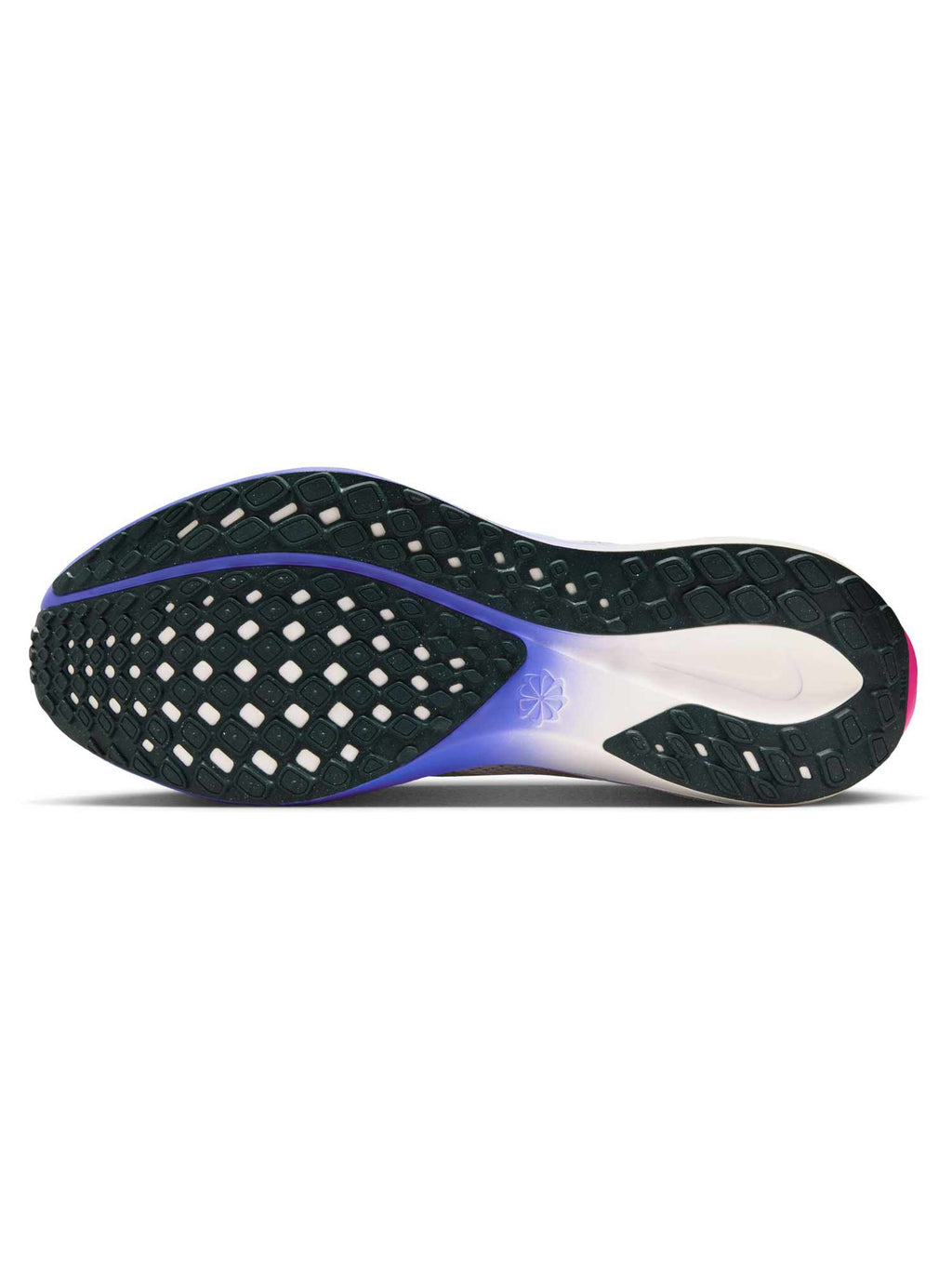 NIKE Обувки AIR ZOOM PEGASUS 41 EK
