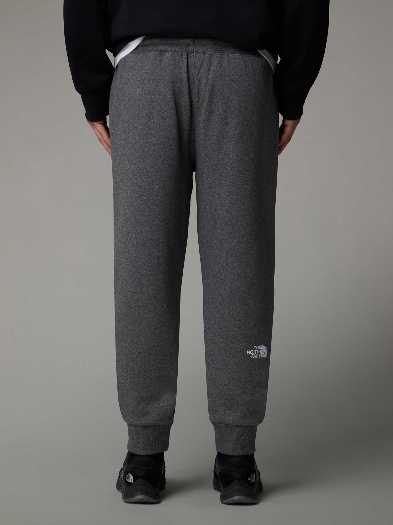 THE NORTH FACE Панталон M NSE PANT