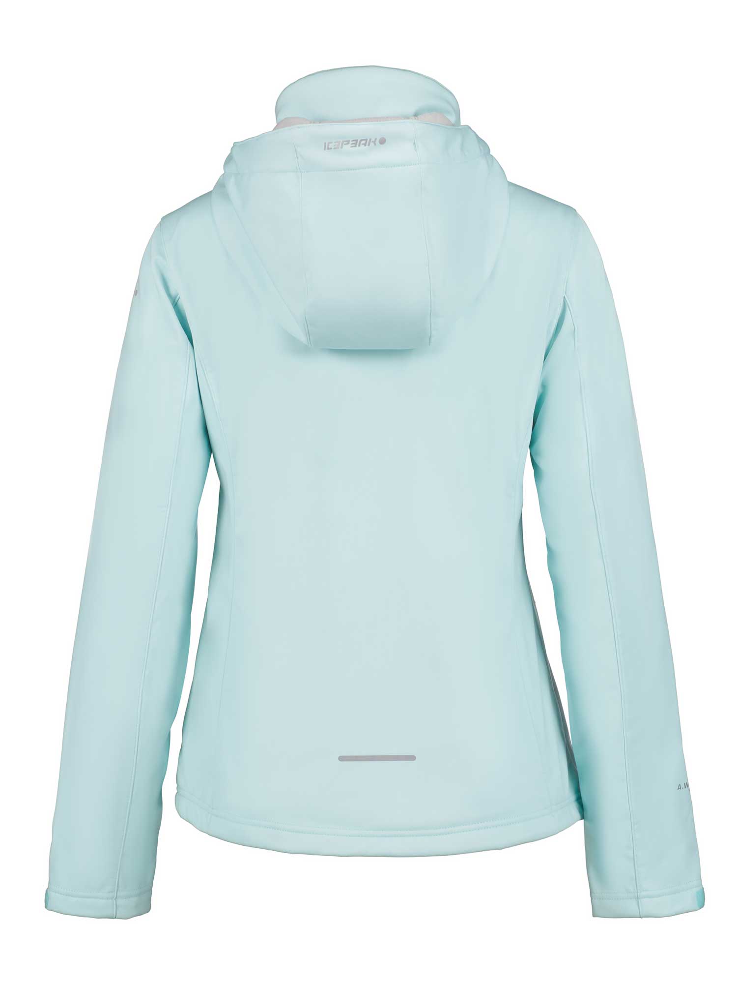 ICEPEAK Яке BOISE