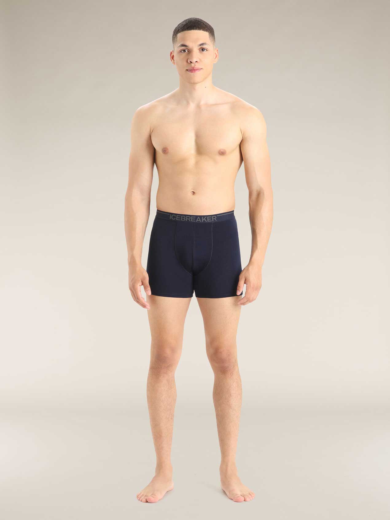ICEBREAKER Боксерки M Anatomica