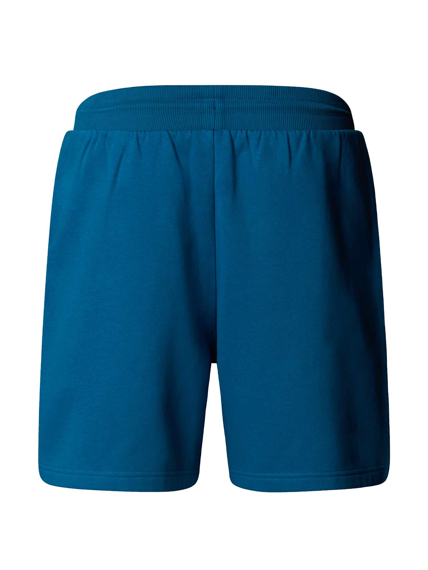 THE NORTH FACE Къси панталони M BOX NSE REGULAR SHORT