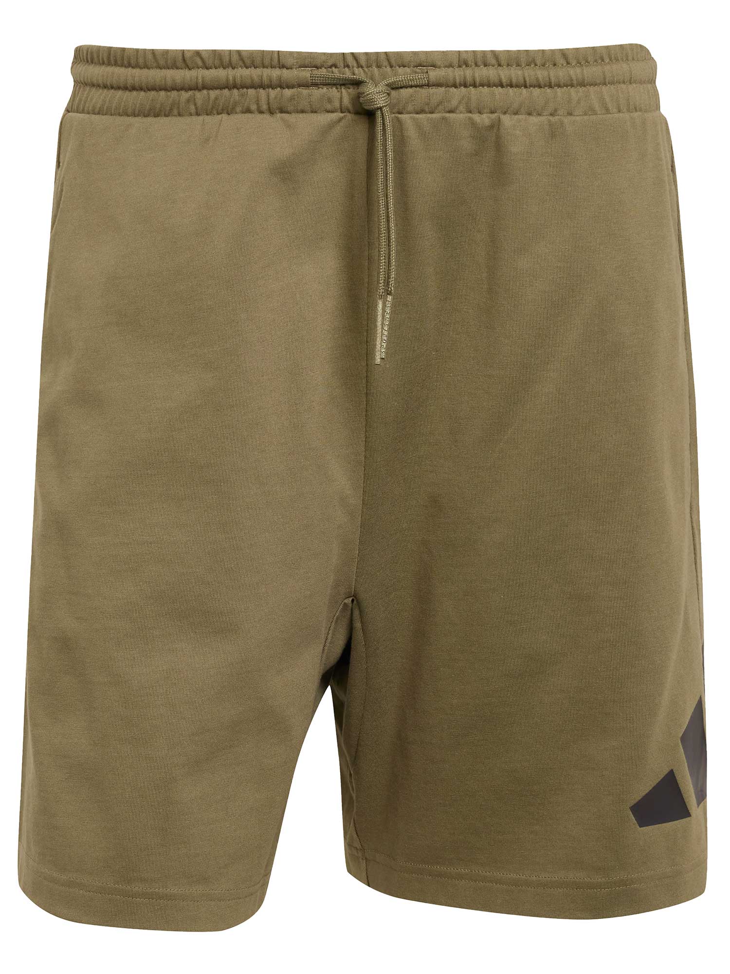 ADIDAS SPORTSWEAR Къси панталони Essentials Big Logo Single Jersey