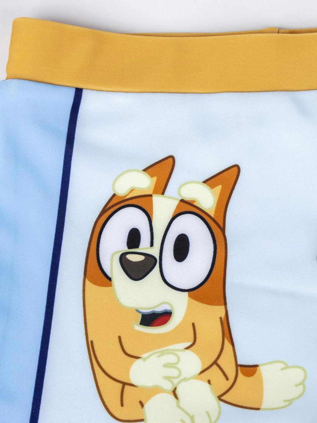 CERDA Бански BLUEY