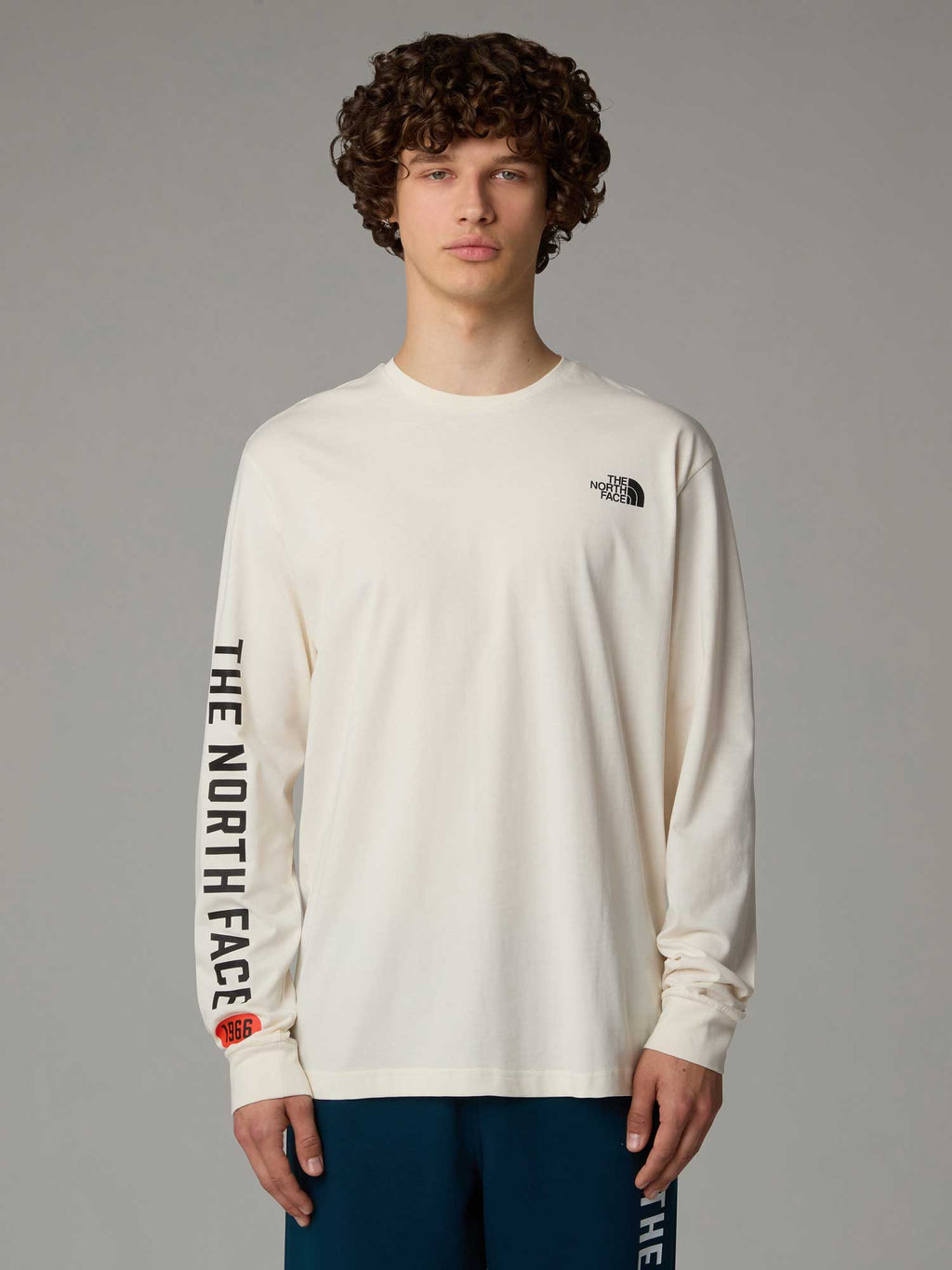 THE NORTH FACE Блуза M L/S TEE VARSITY GRAPHIC