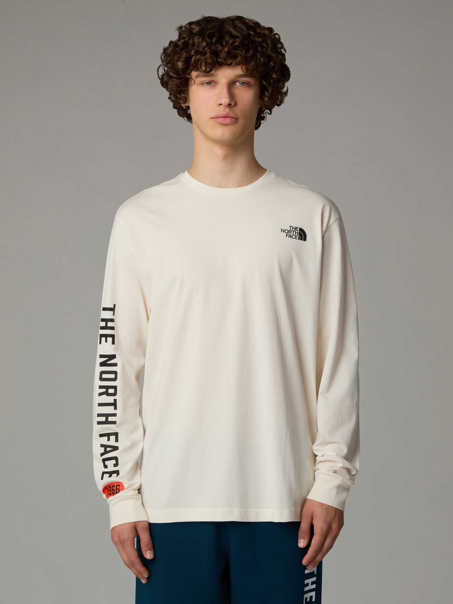 THE NORTH FACE Блуза M L/S TEE VARSITY GRAPHIC