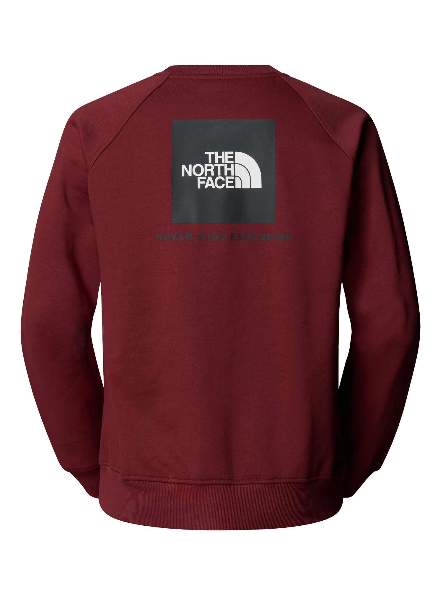 THE NORTH FACE Блуза M RAGLAN BOX NSE REGULAR CREW